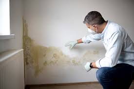 Best Real Estate Mold Inspection  in Baxter Estates, NY